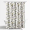 Lush Décor Lush Decor Cynthia Jacobean Shower Curtain