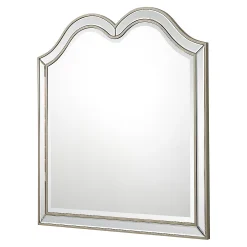 Cenports Camden Isle Marilyn 35.4 In. X 35.4 In. Casual Arch Framed Classic Accent Wall Mirror